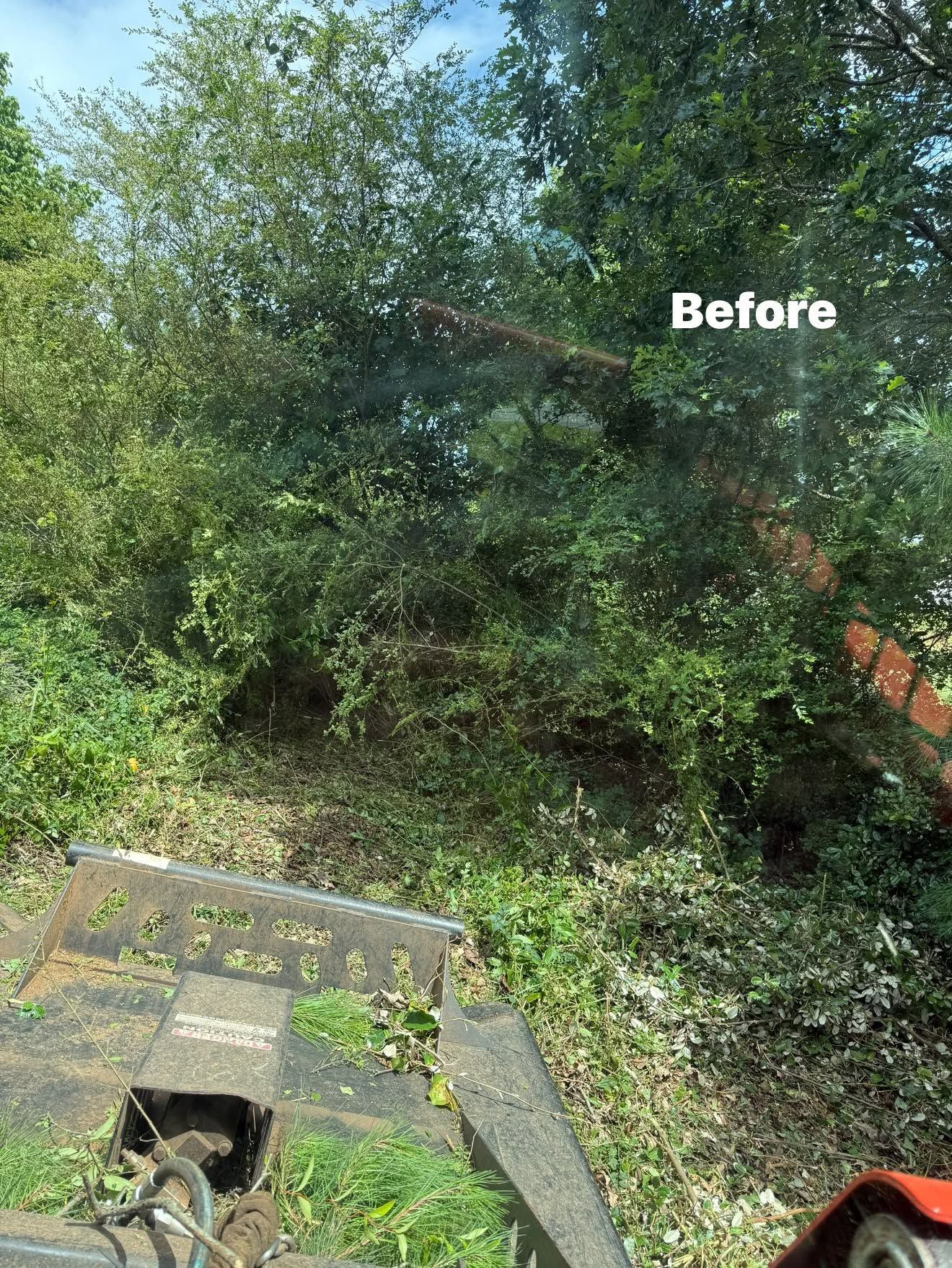Overgrown vegetation beside a path, with a sign labeled “Before” in the foreground.