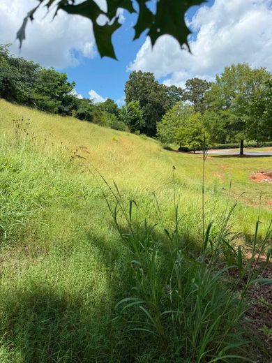Grassy hillside under a blue sky with clouds, trees in the background, and tall weeds in the foreground