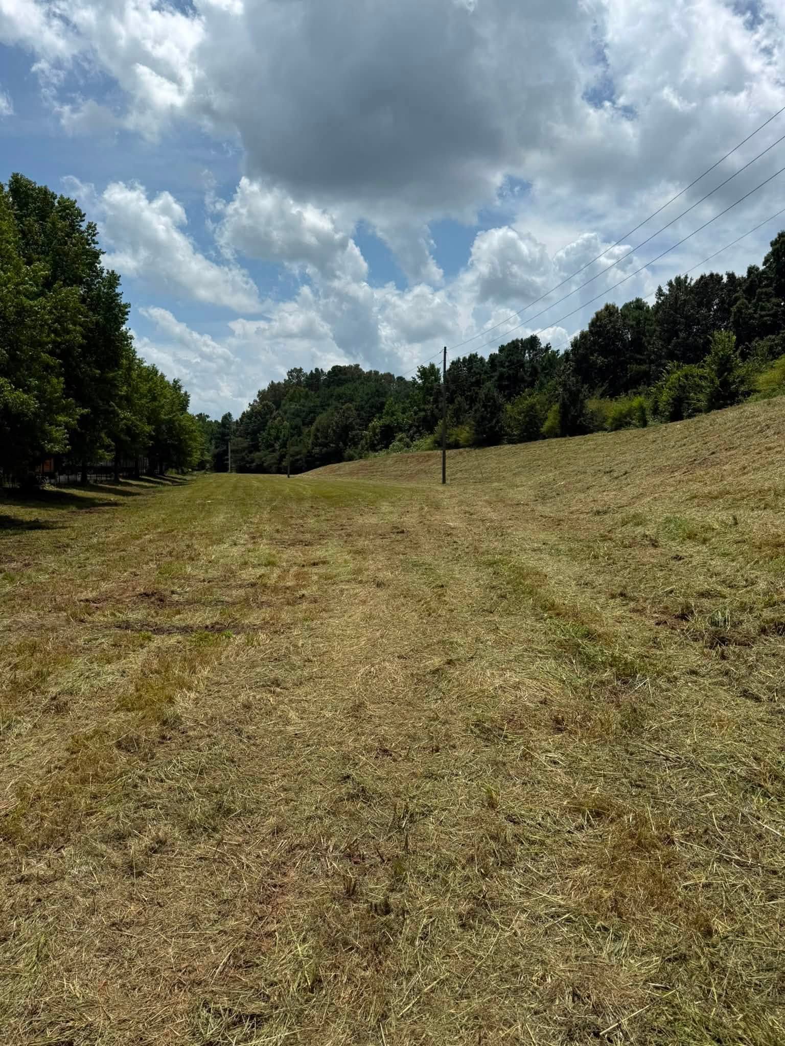 Grassy meadow path under cloudy sky, lined with trees and a small signpost in the distance