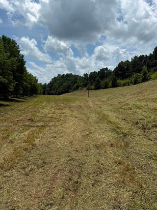 Grassy meadow path under cloudy sky, lined with trees and a small signpost in the distance