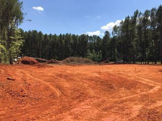 Cleared red dirt lot beside a pine forest under a bright blue sky with clouds