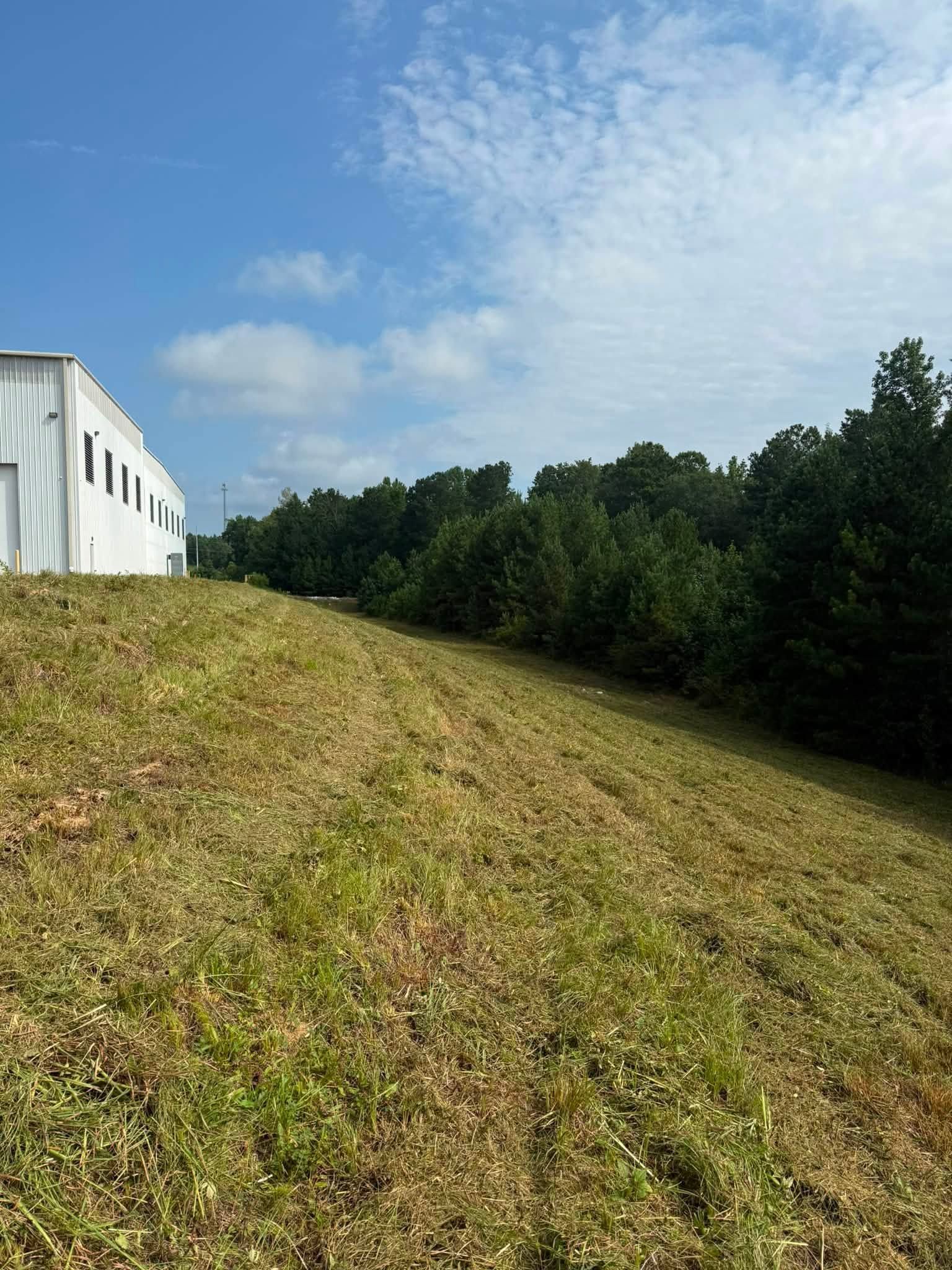 Grassy slope beside a white building, with trees and a blue sky in the background.