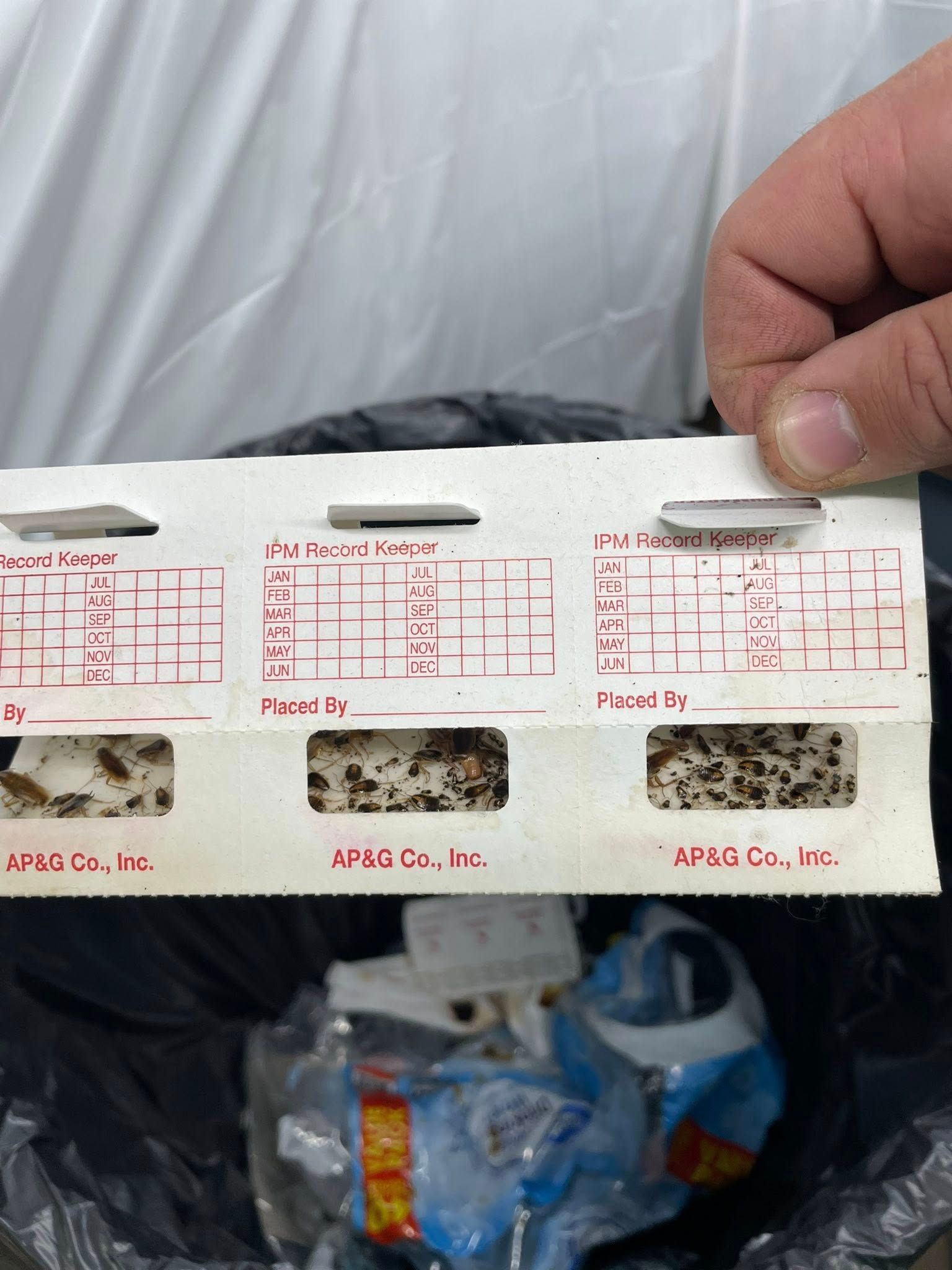 Hand holding a strip of printed test charts with red markings over a cluttered table.