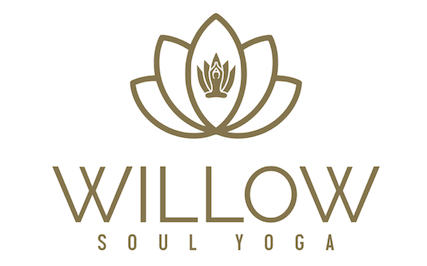 Logo for Willow Soul Yoga; lotus flower icon above text.