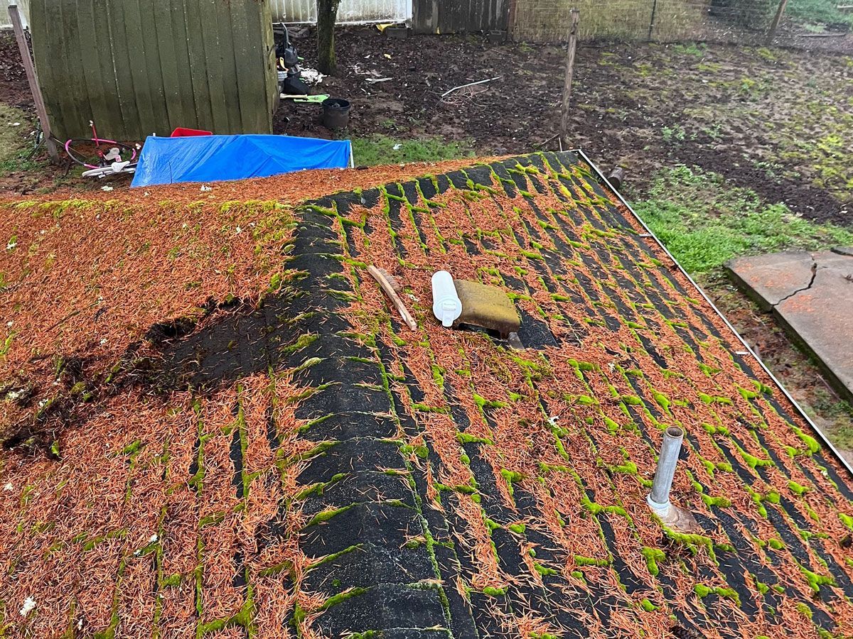 The roof of a house is covered in leaves and moss.