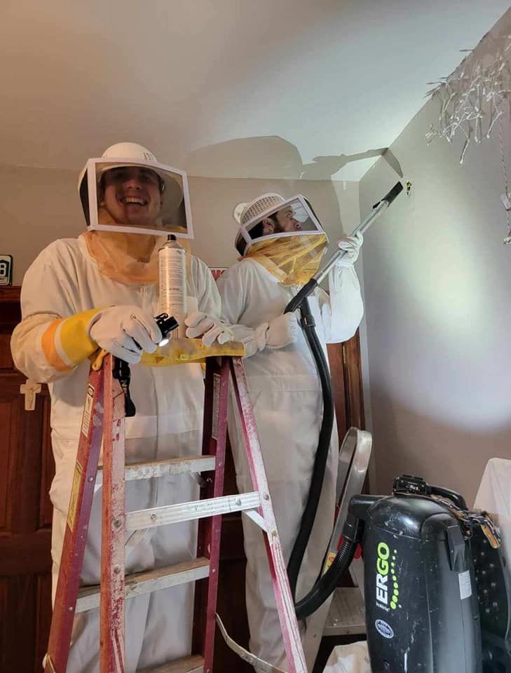 Exterminator