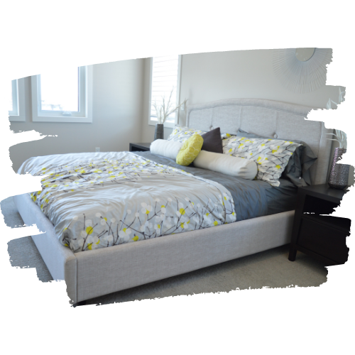 Bed Bug Treatment