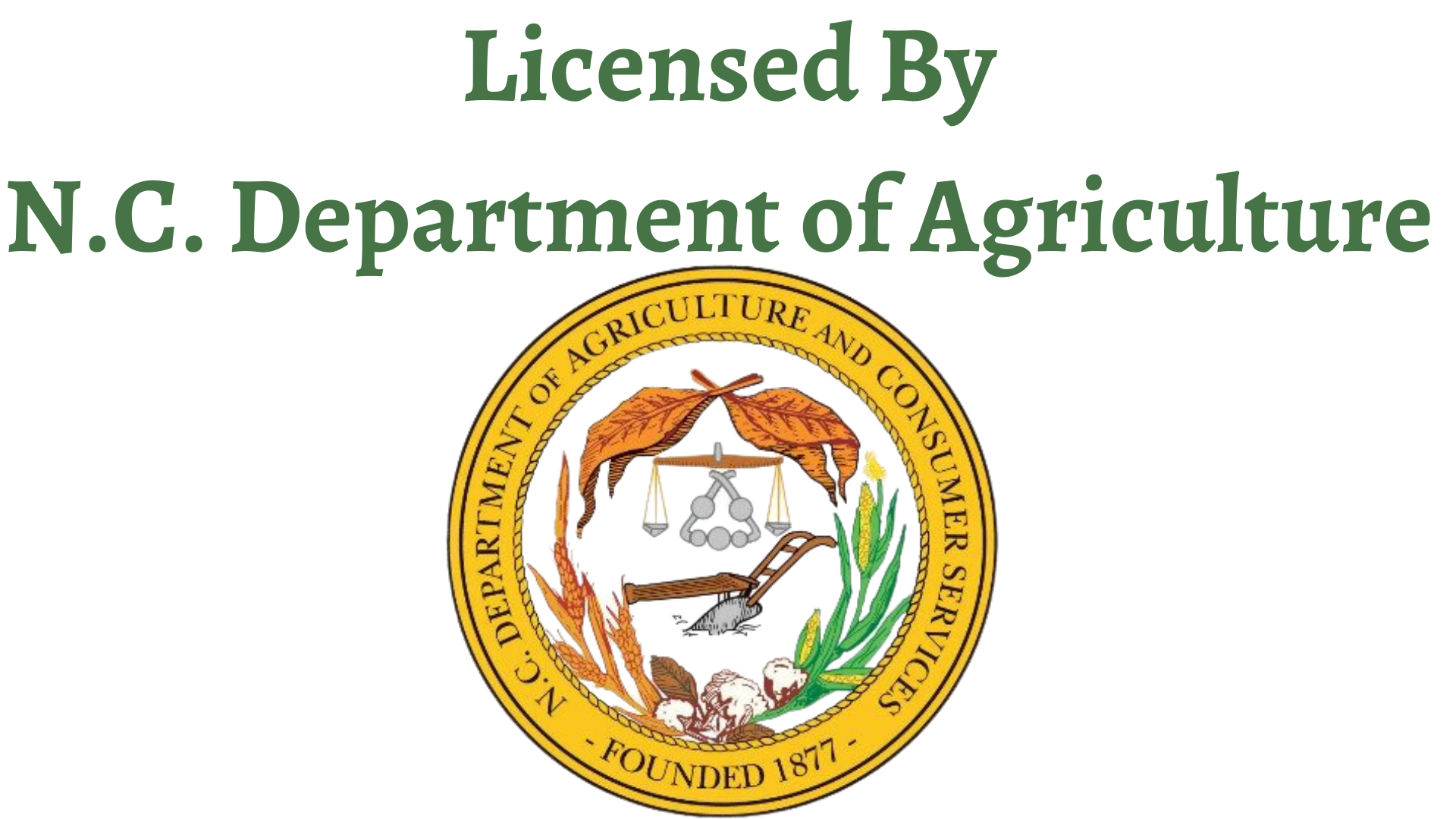 Pest Control Services