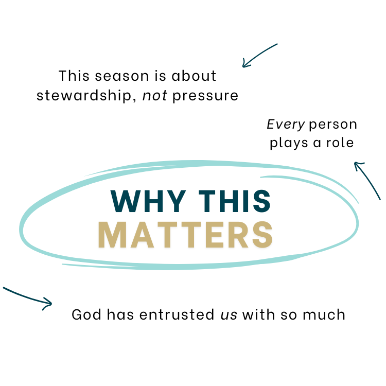 Text over an oval: 