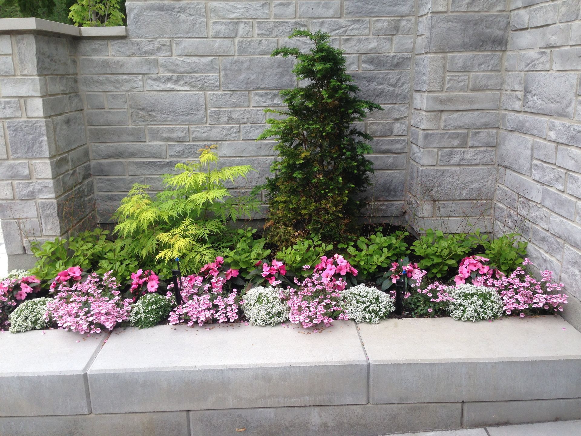 Un jardin avec des fleurs et des plantes roses et blanches devant un mur de briques