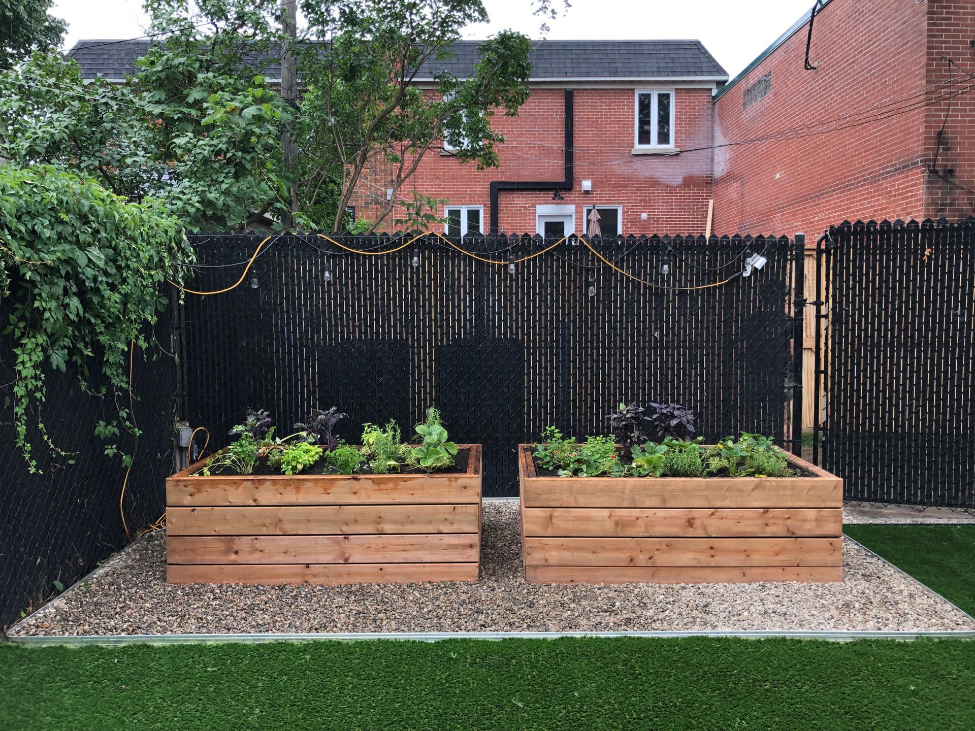 Deux jardinières en bois remplies de plantes se trouvent dans une cour arrière à côté d'une clôture noire.