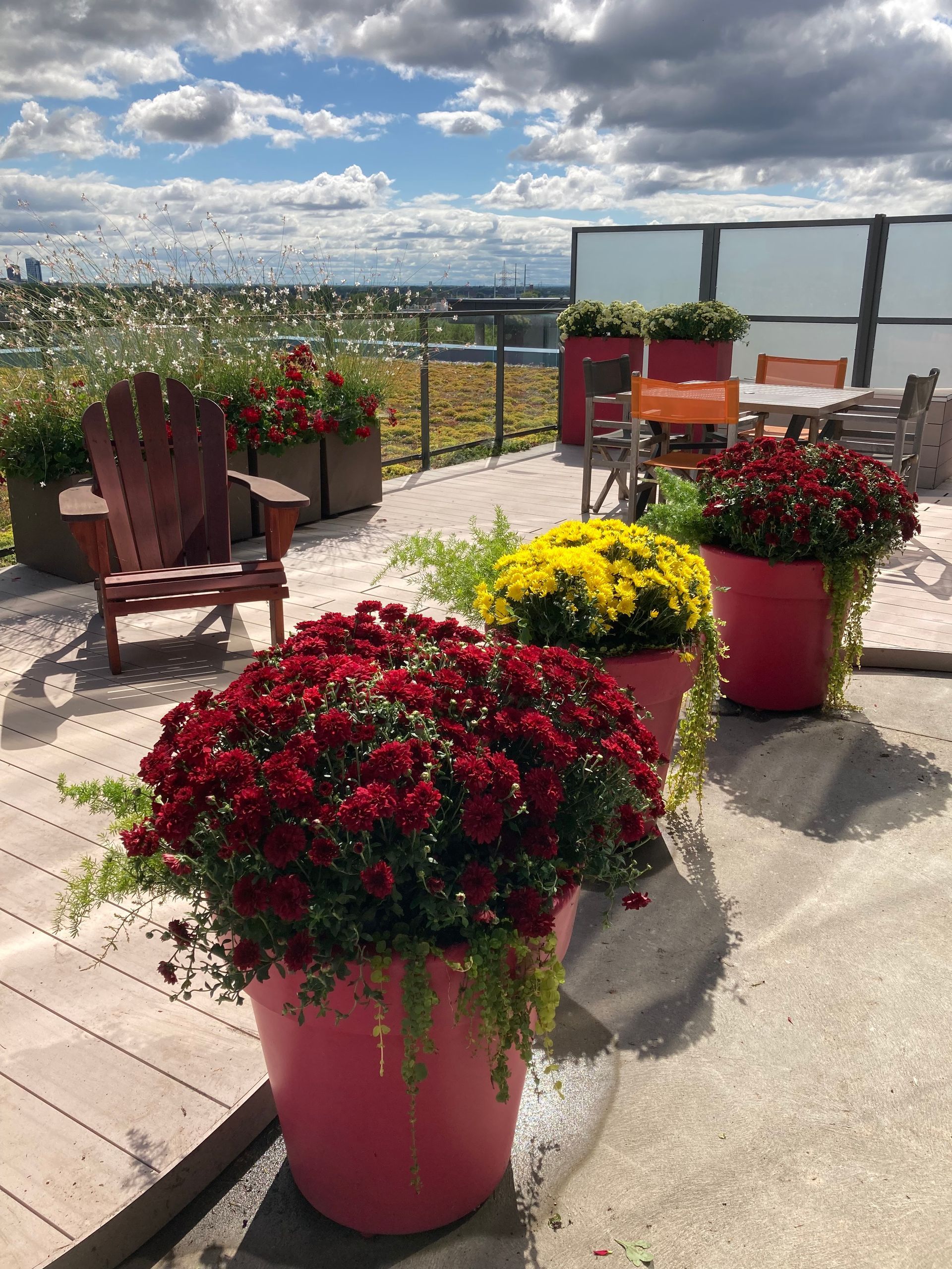 Un patio avec des fleurs rouges et jaunes dans des pots roses