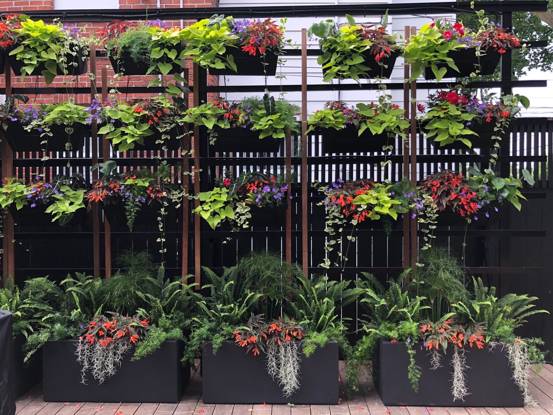 Une rangée de jardinières remplies de fleurs et de plantes