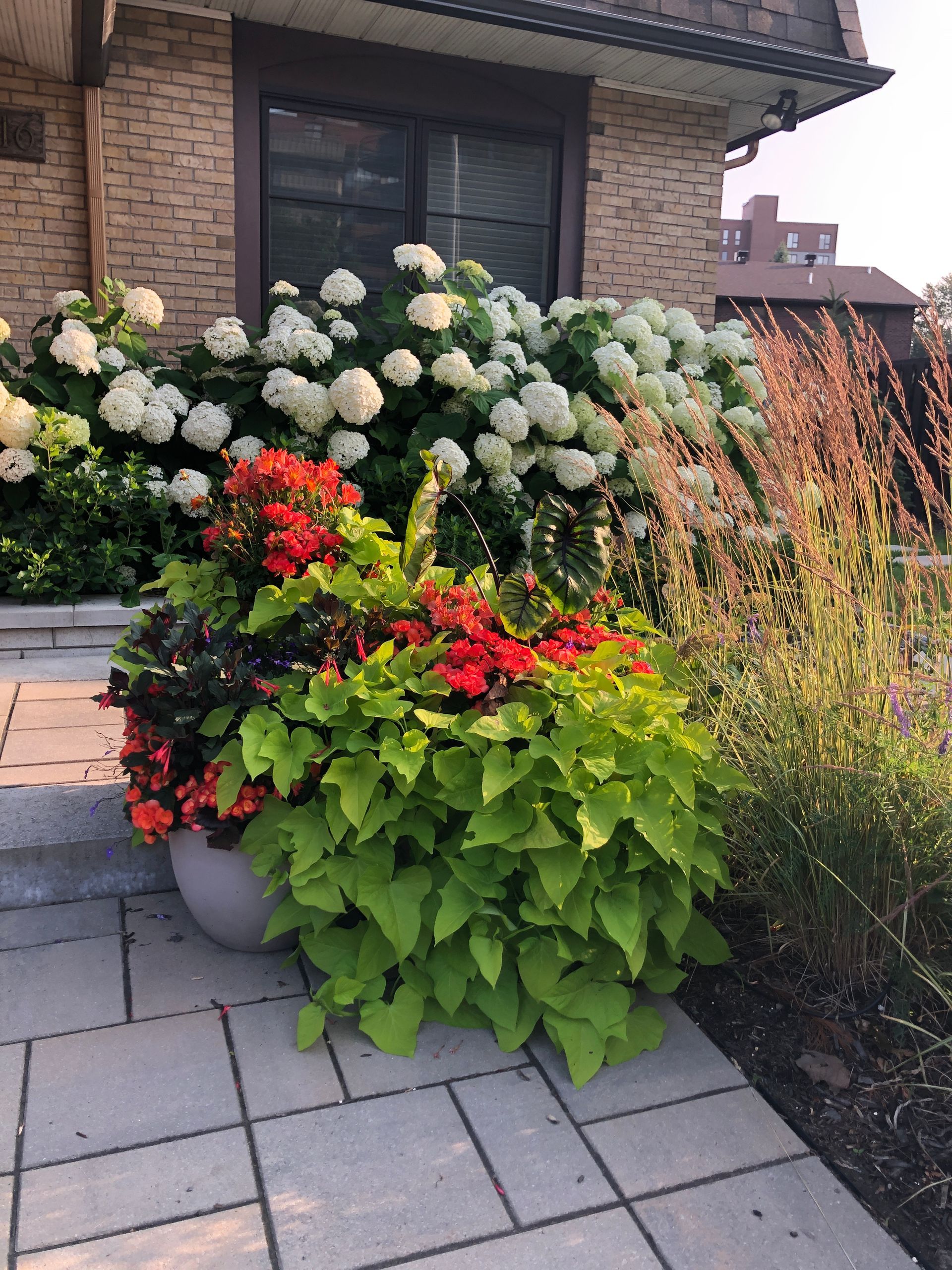 Une jardinière remplie de fleurs est posée sur un trottoir devant une maison.