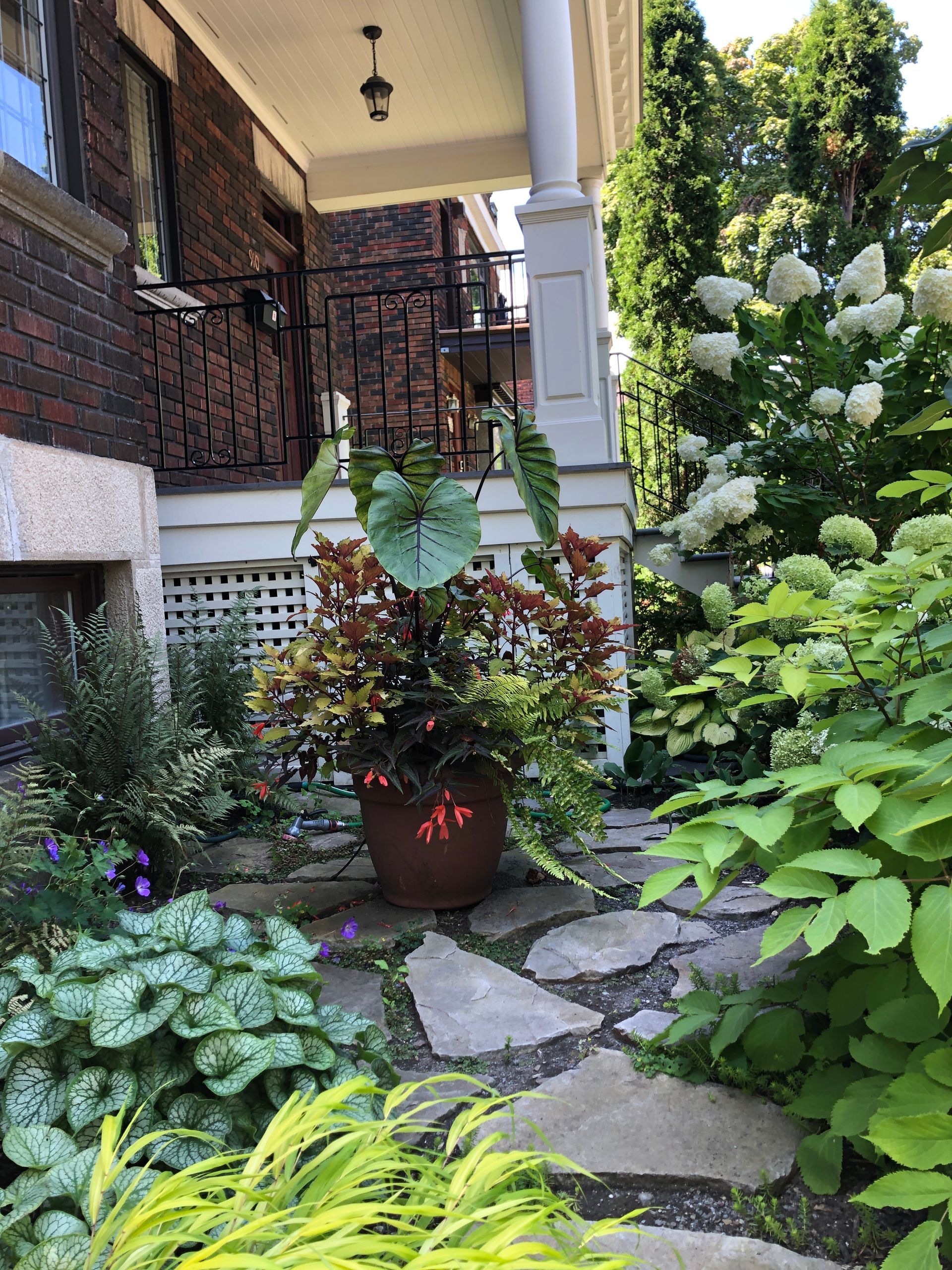Une plante en pot est posée sur le trottoir devant une maison.