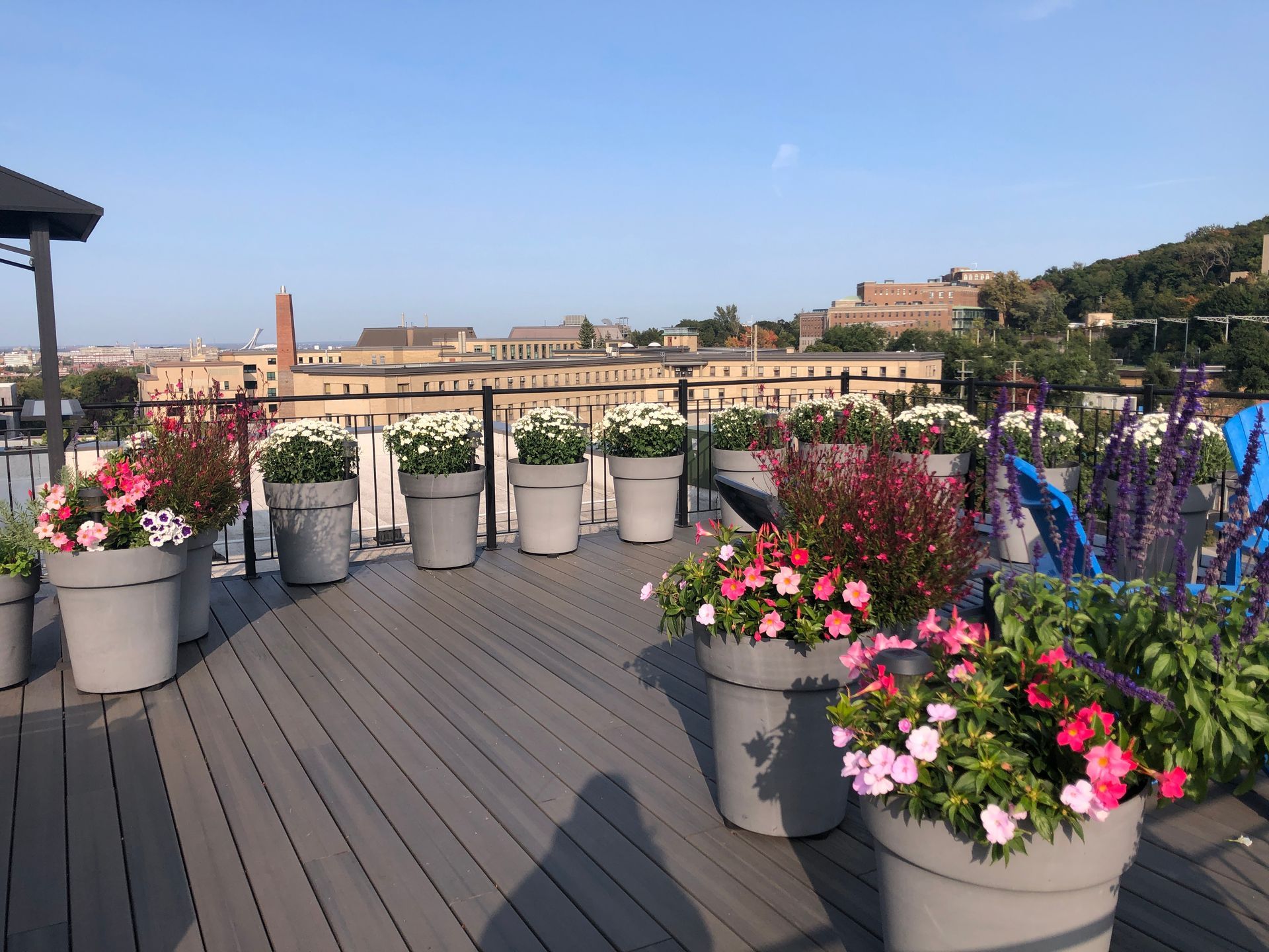 Une terrasse sur le toit remplie de plantes en pot et de fleurs