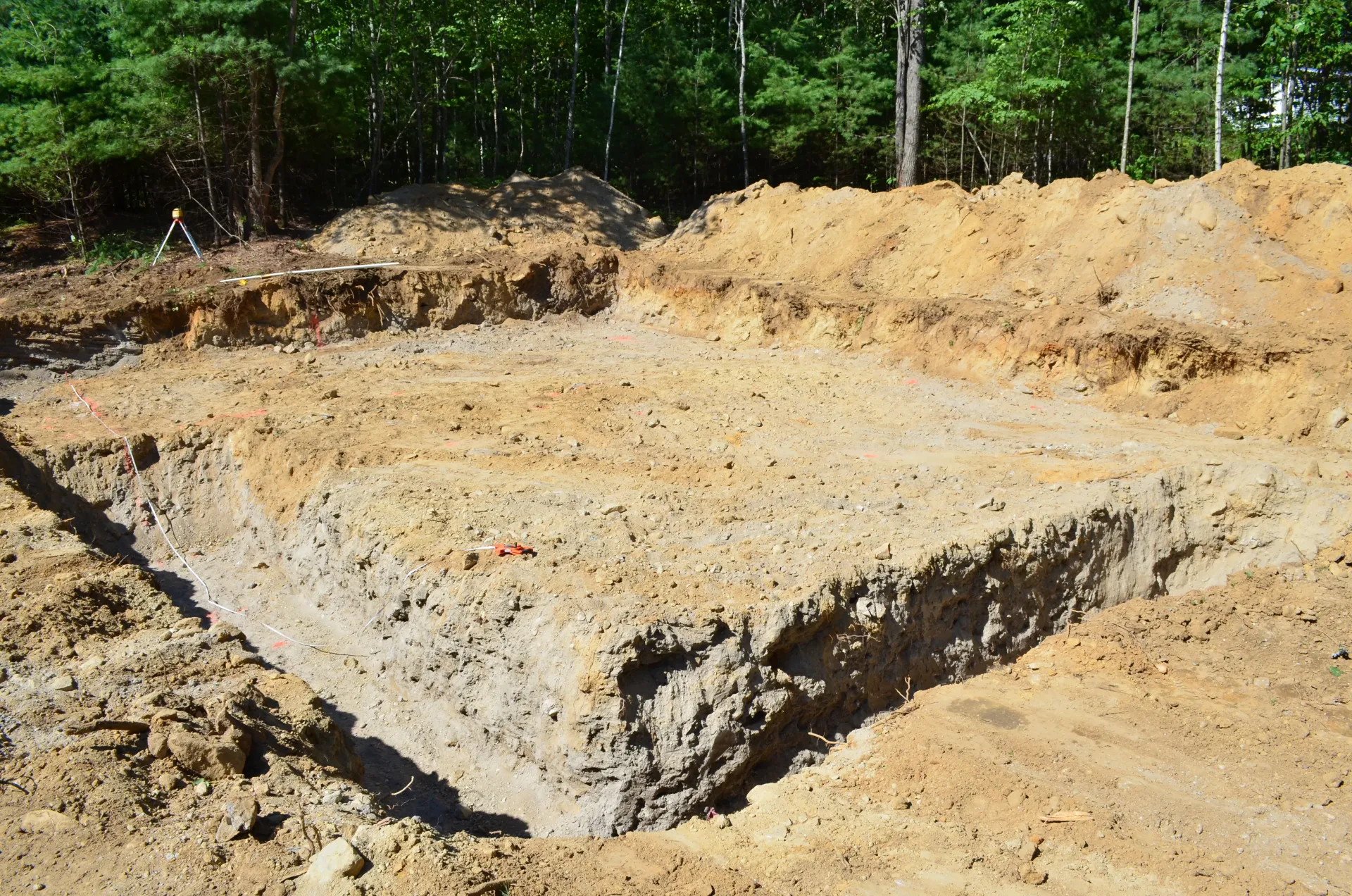 A pile of dirt is sitting in the middle of a forest.