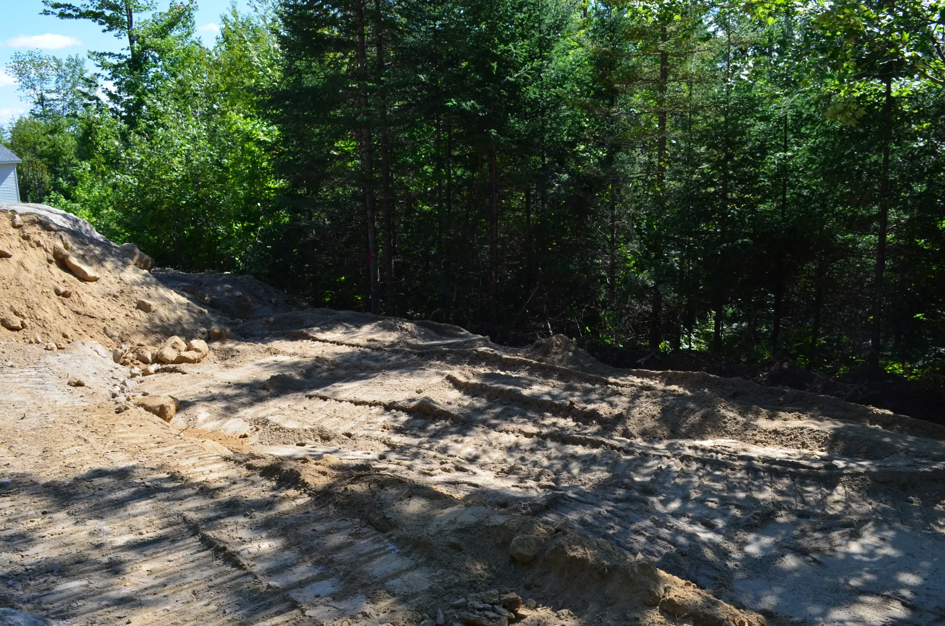 A pile of dirt is sitting in the middle of a forest.