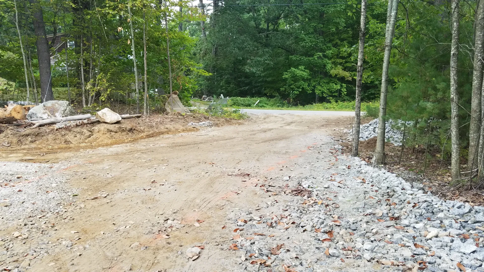 A dirt road going through a forest with trees on both sides.