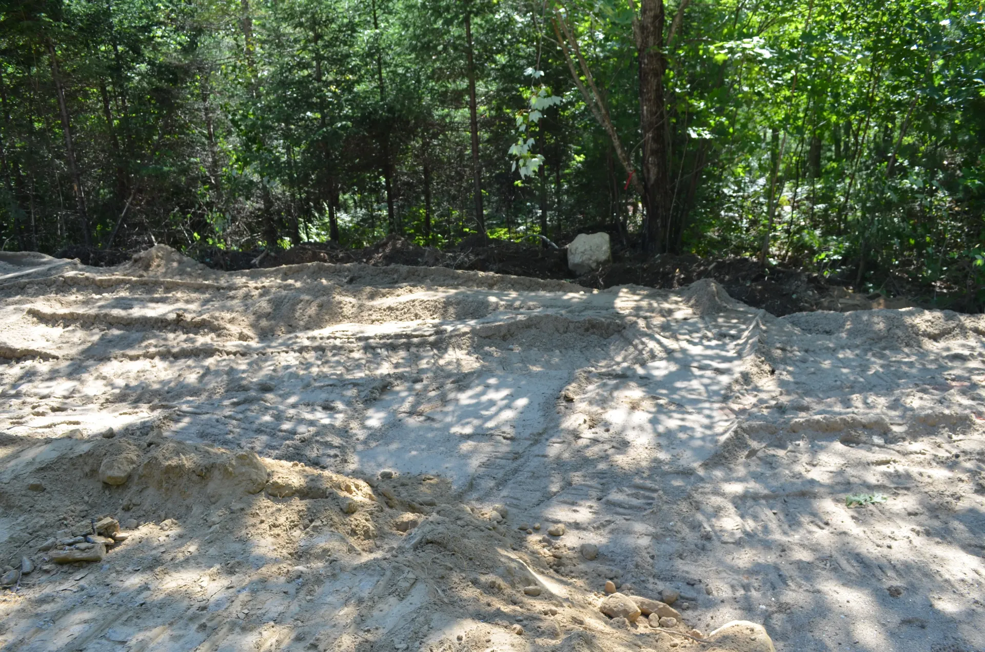 A pile of dirt in the middle of a forest