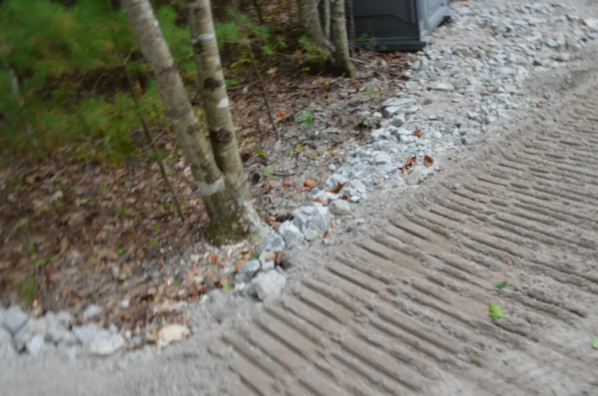 A close up of a dirt road with trees in the background.
