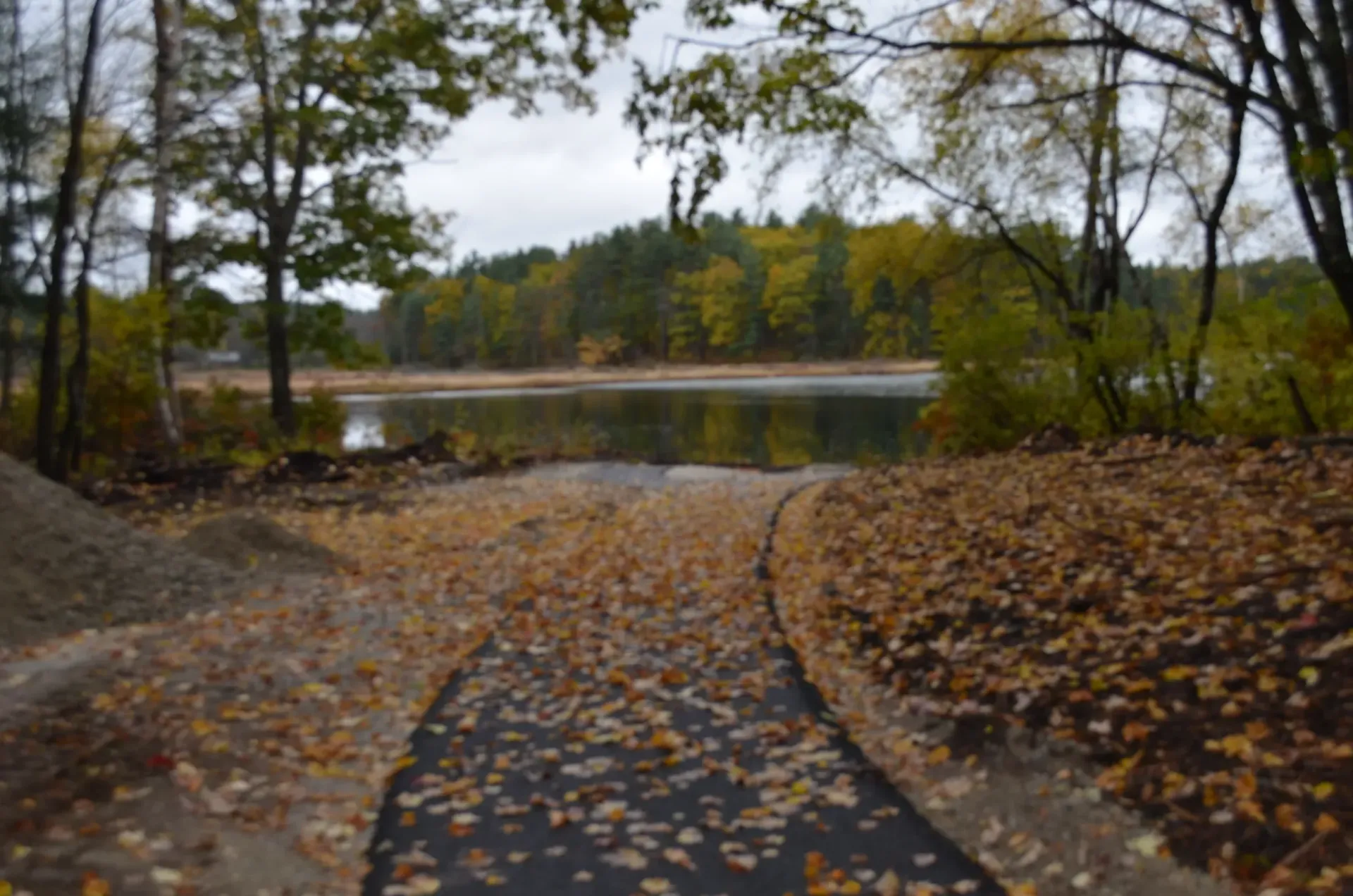 A path leading to a lake surrounded by trees and leaves.