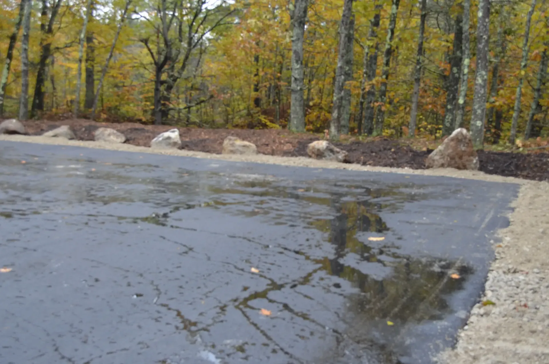 A reflection of trees in a puddle of water on a wet road