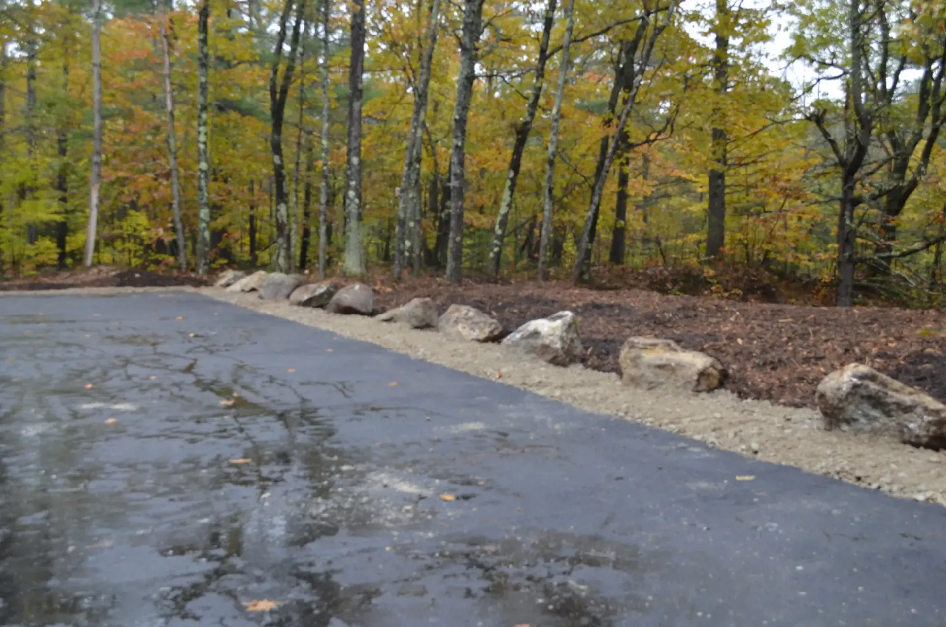 A road with rocks on the side of it in the woods.