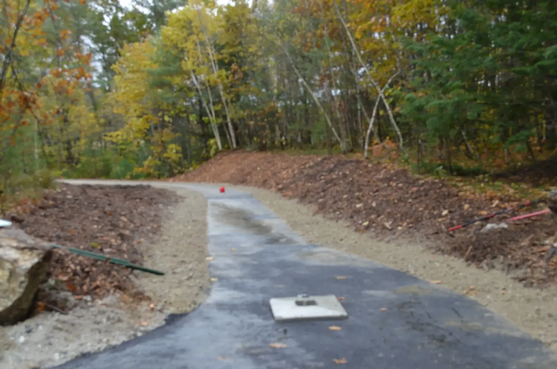 A road with a manhole cover on the side of it in the middle of a forest.
