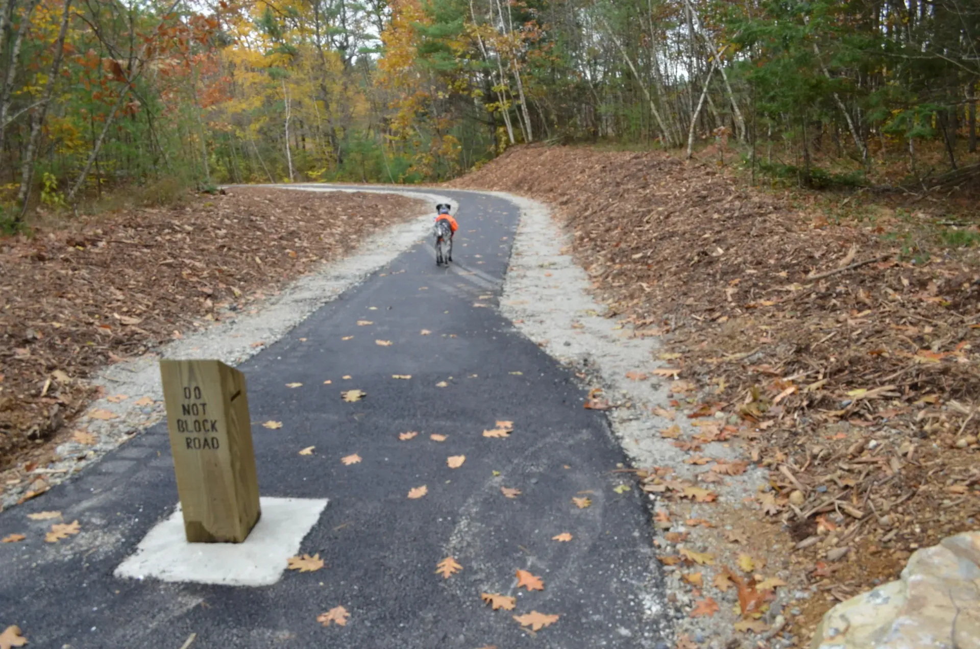 A person is riding a bike down a path in the woods.