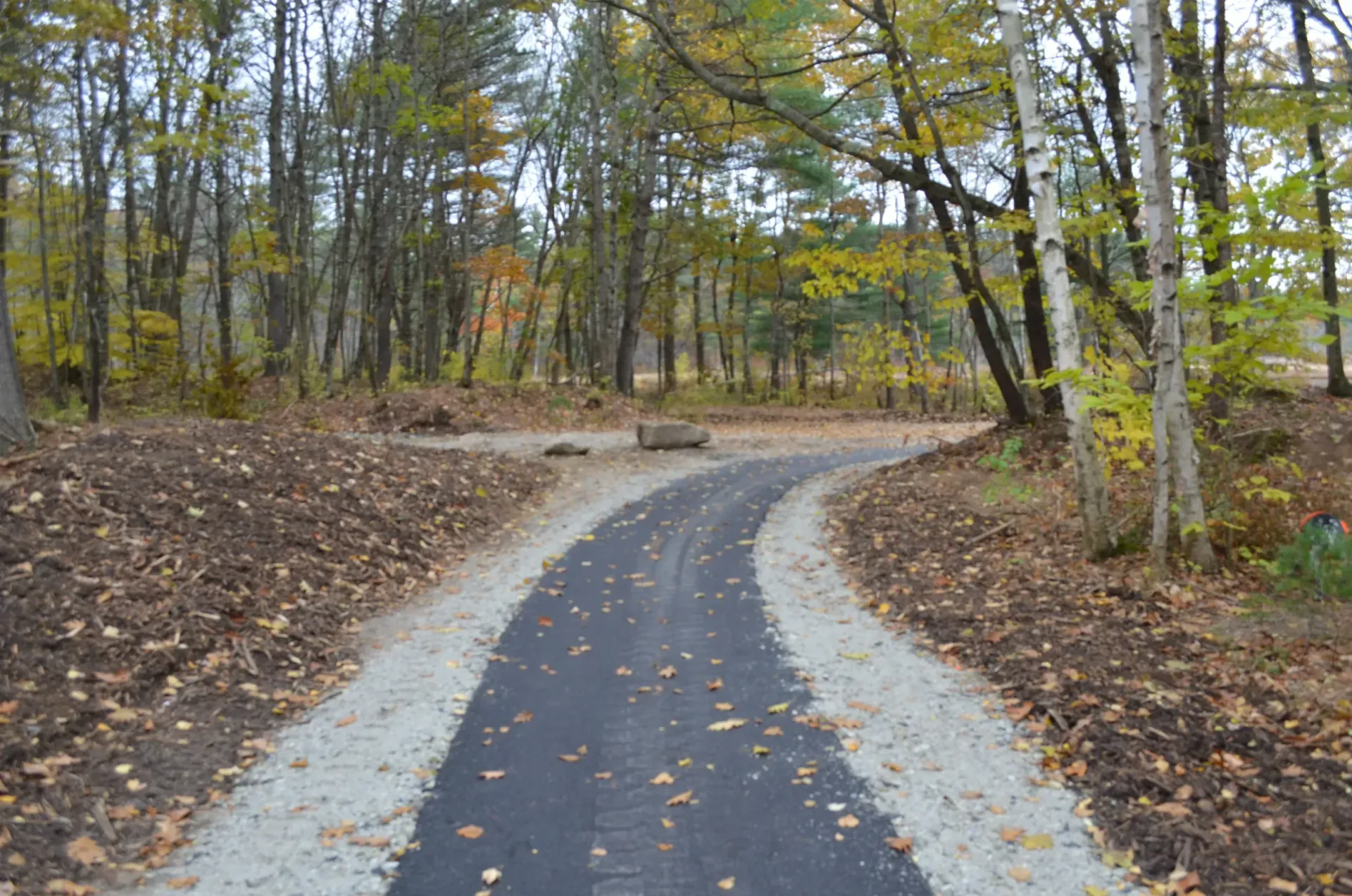A road in the middle of a forest with trees on both sides