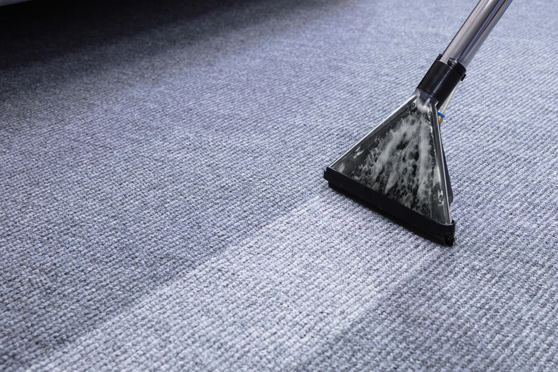 Carpet cleaner nozzle extracting dirt from a gray carpet, leaving a clean strip behind