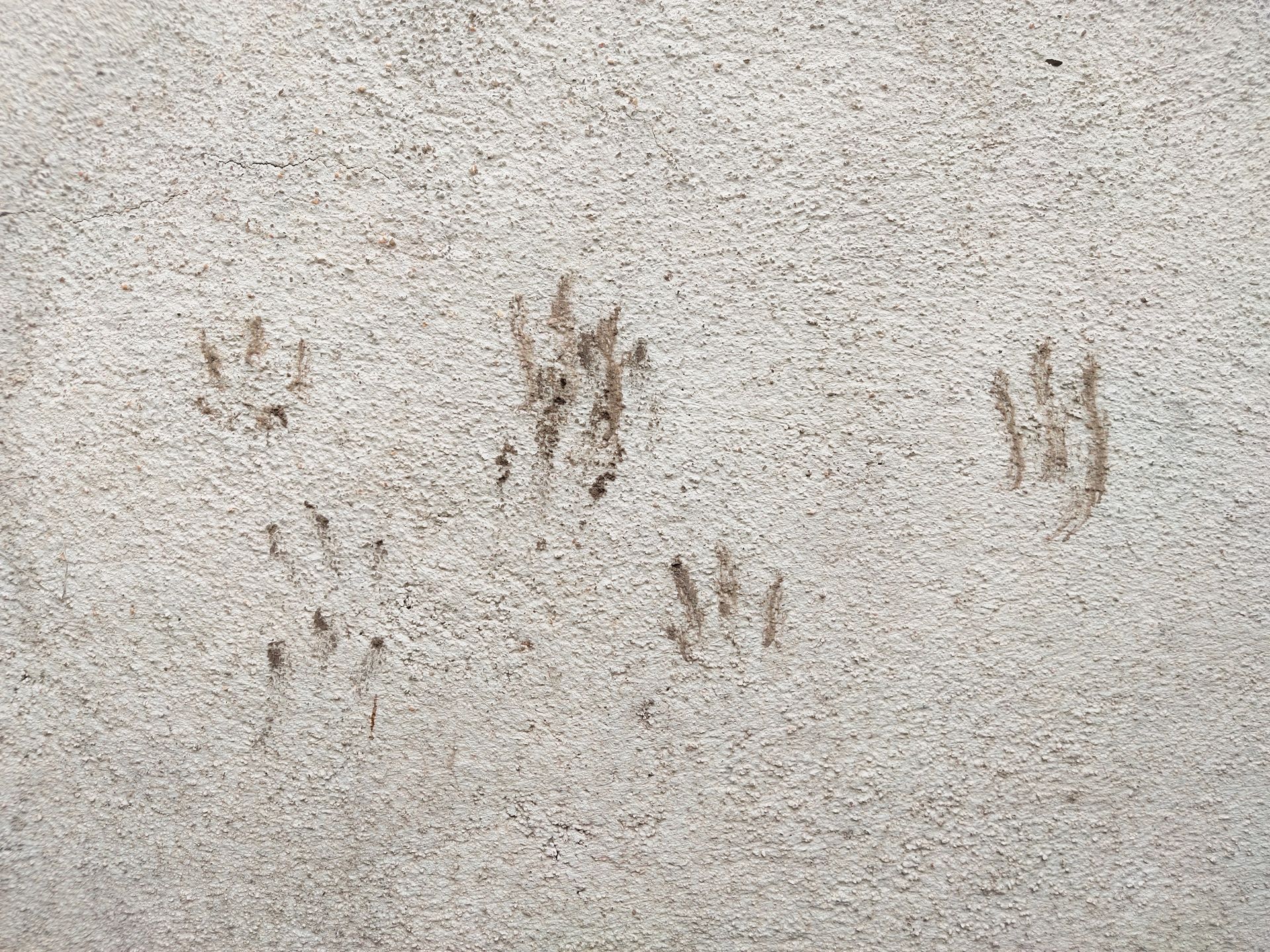 Brown handprints on a light, textured surface, potentially concrete or a similar material.