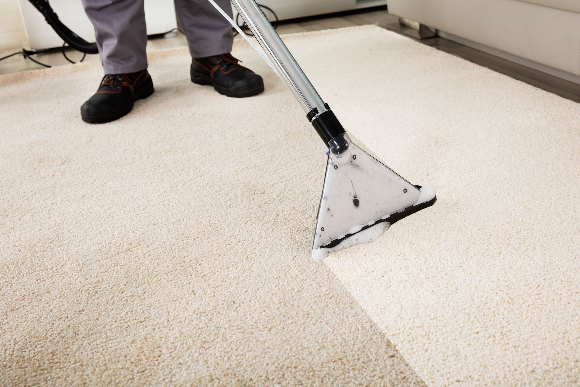 Person cleaning a white carpet with a carpet cleaner.