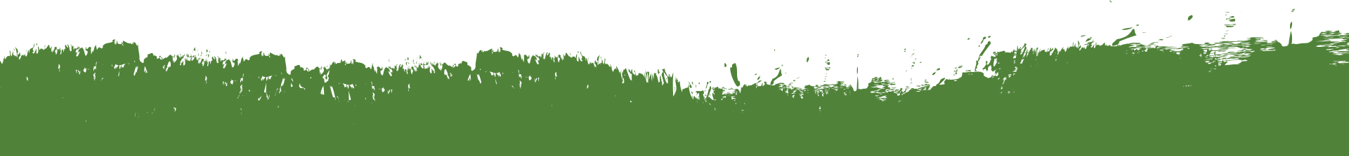 Green Separator Graphic