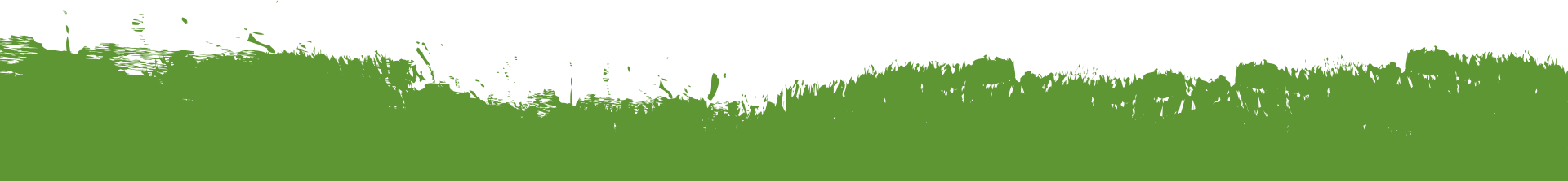 Separator Graphic