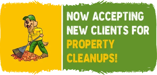 service promo banner