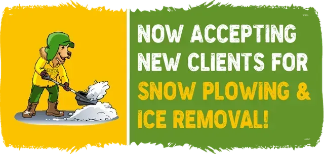 service promo banner