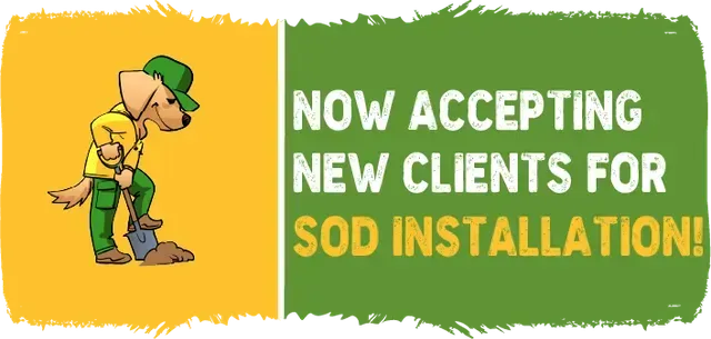 service promo banner