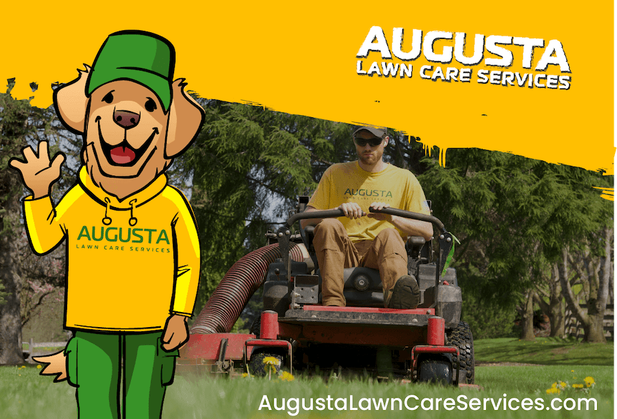 Augusta Lawn Care of Lewes
