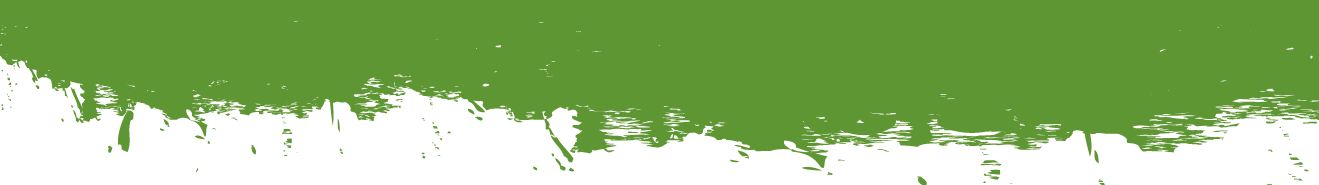 Separator Graphic