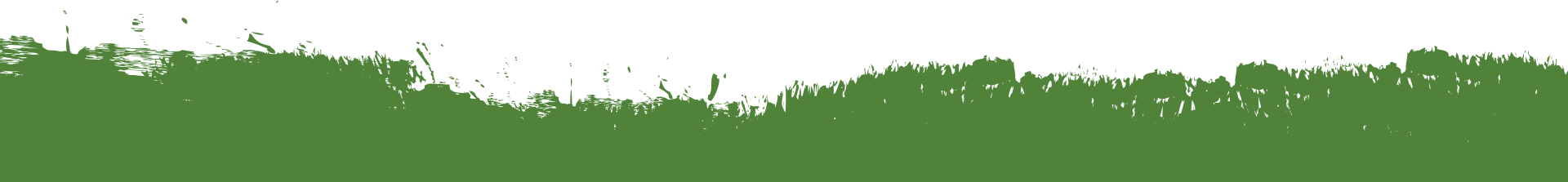 White Separator Graphic