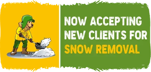 service promo banner