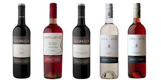 Bodegas Castillo Viejo