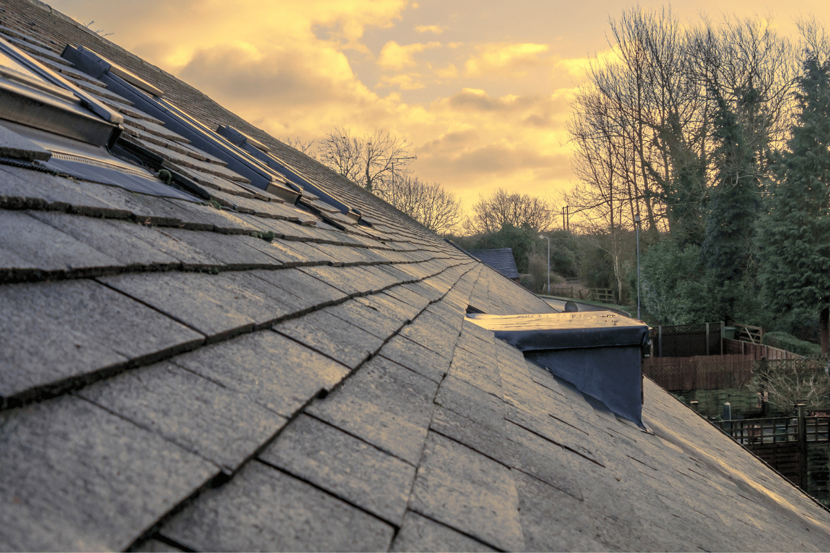 Slate roof sloping toward a golden sunset, with trees and a small rooftop structure in the background