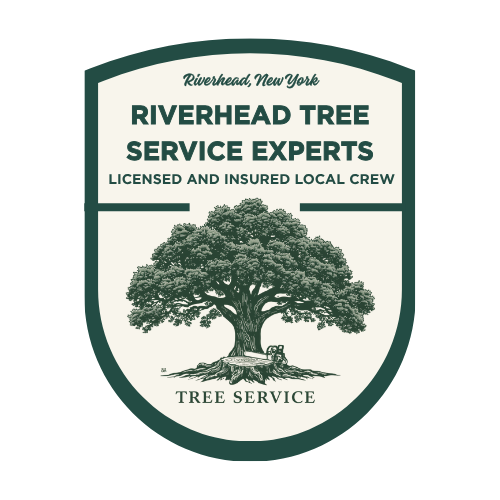 Certified arborist inspecting damaged oak tree in residential yard