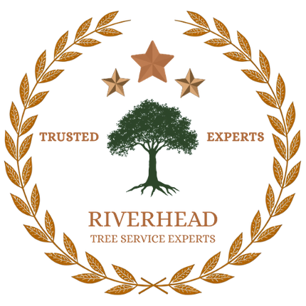 Professional tree removal equipment operating at Riverhead property