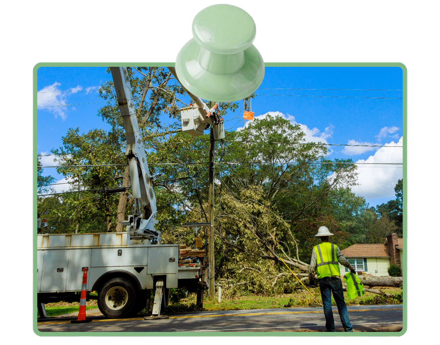 Tree removal specialists using rigging system to dismantle large storm damaged tree