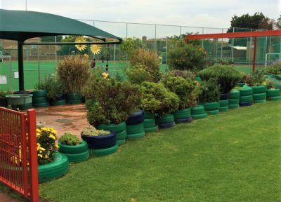 a row of green potted plants are sitting on top of a lush green field .