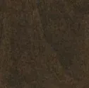 Dark brown, textured surface with visible variations.
